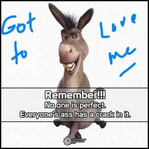 Meet your Posher, Krissy